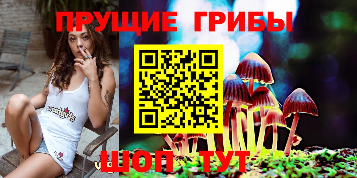 Надым  Галлюциногенные грибы Psilocybe  Вход с VPN 
