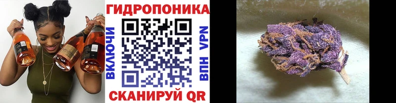 Конопля VHQ hydra ссылка Надым